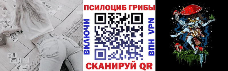 цены Егорьевск Псилоцибиновые грибы Psilocybine cubensis